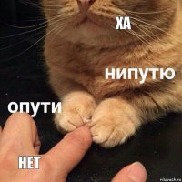 ха нет