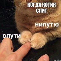 когда котик спит 