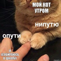 Мой кот утром я (Собираюсь в школу)