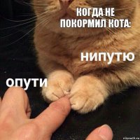 Когда не покормил кота: 