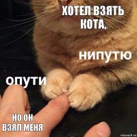 Хотел взять кота, Но он взял меня