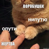 воробушек жертва