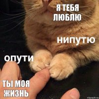 я тебя люблю ты моя жизнь