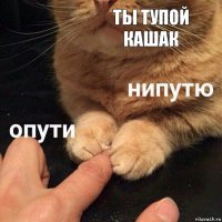 ты тупой кашак 