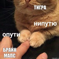 Тигра Брайн мапс