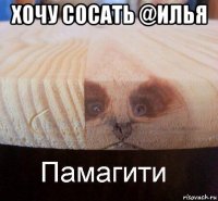 хочу сосать @илья 