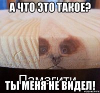 а что это такое? ты меня не видел!