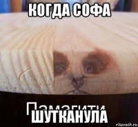 когда софа шутканула