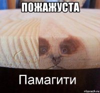 пожажуста 