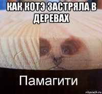 как котэ застряла в деревах 