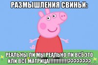 размышления свиньи: реальны ли мы реально ли всё это или всё матрица!!!!!!!!!!!!????????