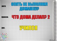 Опять не выполнил домашку? Что дома делал? 2 Учился