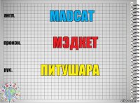 MadCat Мэдкет Питушара