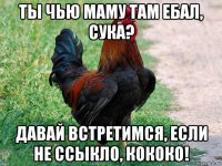 ты чью маму там ебал, сука? давай встретимся, если не ссыкло, кококо!