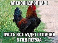 александровна!!! пусть все будет отлично в год петуха