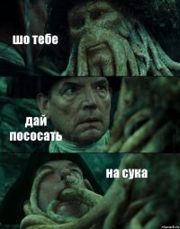 шо тебе дай пососать на сука