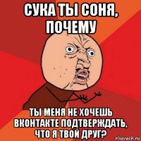 сука ты соня, почему ты меня не хочешь вконтакте подтверждать, что я твой друг?