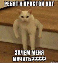 ребят я простой кот зачем меня мучить?????