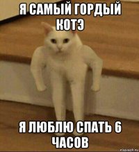 я самый гордый котэ я люблю спать 6 часов