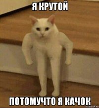 я крутой потомучто я качок