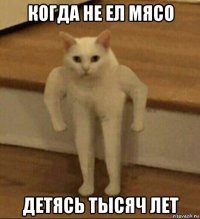 когда не ел мясо детясь тысяч лет