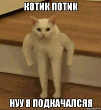 котик потик нуу я подкачалсяя