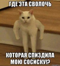 где эта сволочь которая спиздила мою сосиску!?