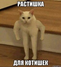 растишка для котишек