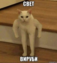 свет вируби