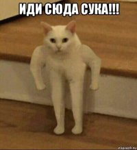 иди сюда сука!!! 