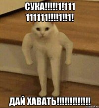 сука!!!!!1!111 111111!!!!1!!1! дай хавать!!!!!!!!!!!!!