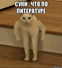 суки , что по литературе 