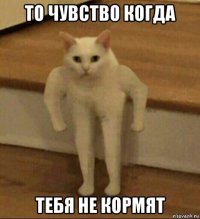 то чувство когда тебя не кормят