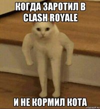 когда заротил в clash royale и не кормил кота