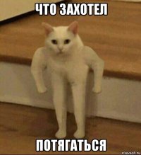 что захотел потягаться