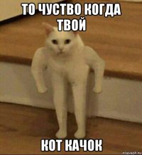 то чуство когда твой кот качок