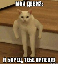 мой девиз: я борец, тебе пипец!!!