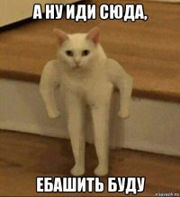 а ну иди сюда, ебашить буду