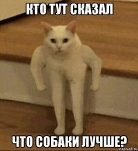 кто тут сказал что собаки лучше?