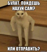 булат, пойдешь нахуй сам? или отправить?