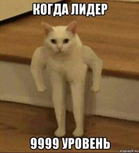 когда лидер 9999 уровень