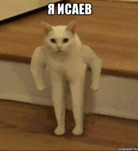 я исаев 