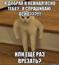 я добрая и нежная!ясно тебе?...я спрашиваю, ясно???!!! или ещё раз врезать?