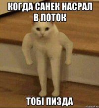 когда санек насрал в лоток тобi пизда