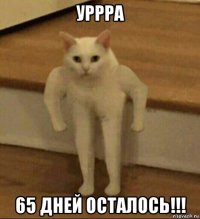 уррра 65 дней осталось!!!