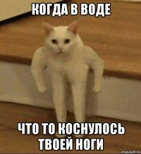 когда в воде что то коснулось твоей ноги