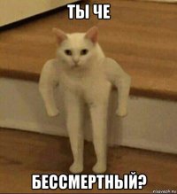 ты че бессмертный?