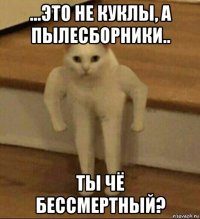 ...это не куклы, а пылесборники.. ты чё бессмертный?