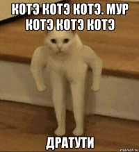 котэ котэ котэ. мур котэ котэ котэ дратути