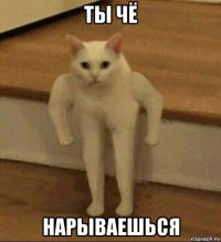 ты чё нарываешься